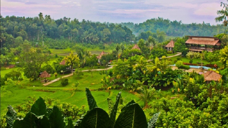 الفلبين من بين أفضل الوجهات السياحة الزراعية في العالم
